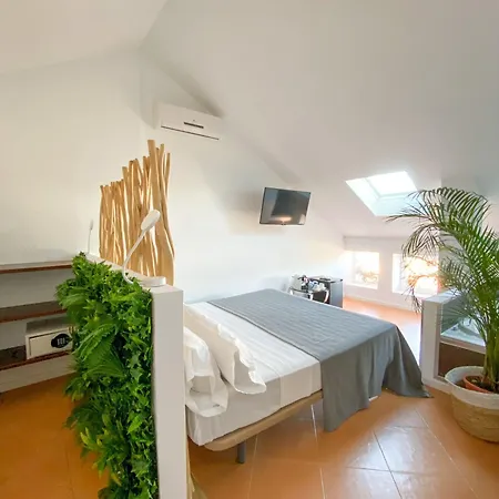 Molo 44 Puerto Banus Guest house 4*