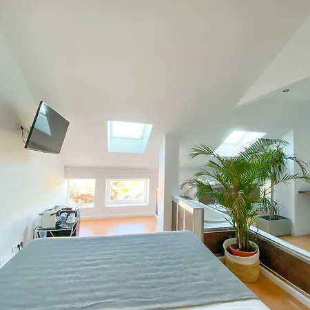 Guest house Molo 44 Puerto Banus 4*