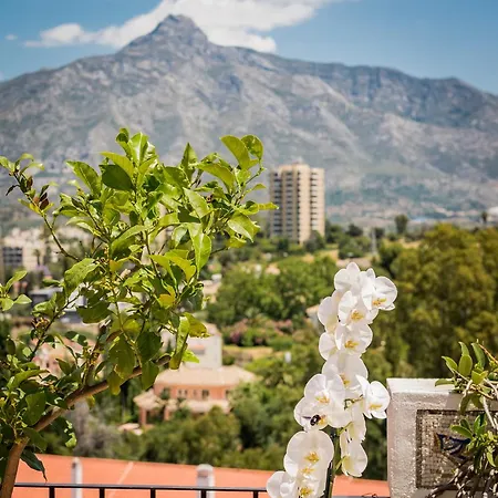 Molo 44 Puerto Banus Guest house Marbella